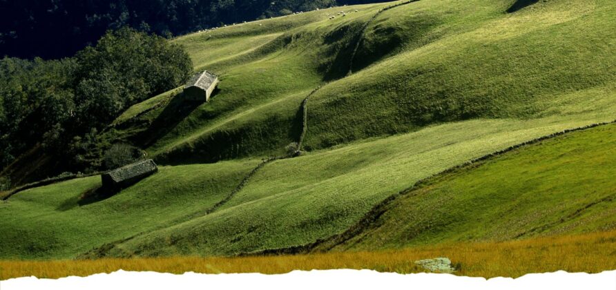 Conoce los Valles Pasiegos de Cantabria con Orax